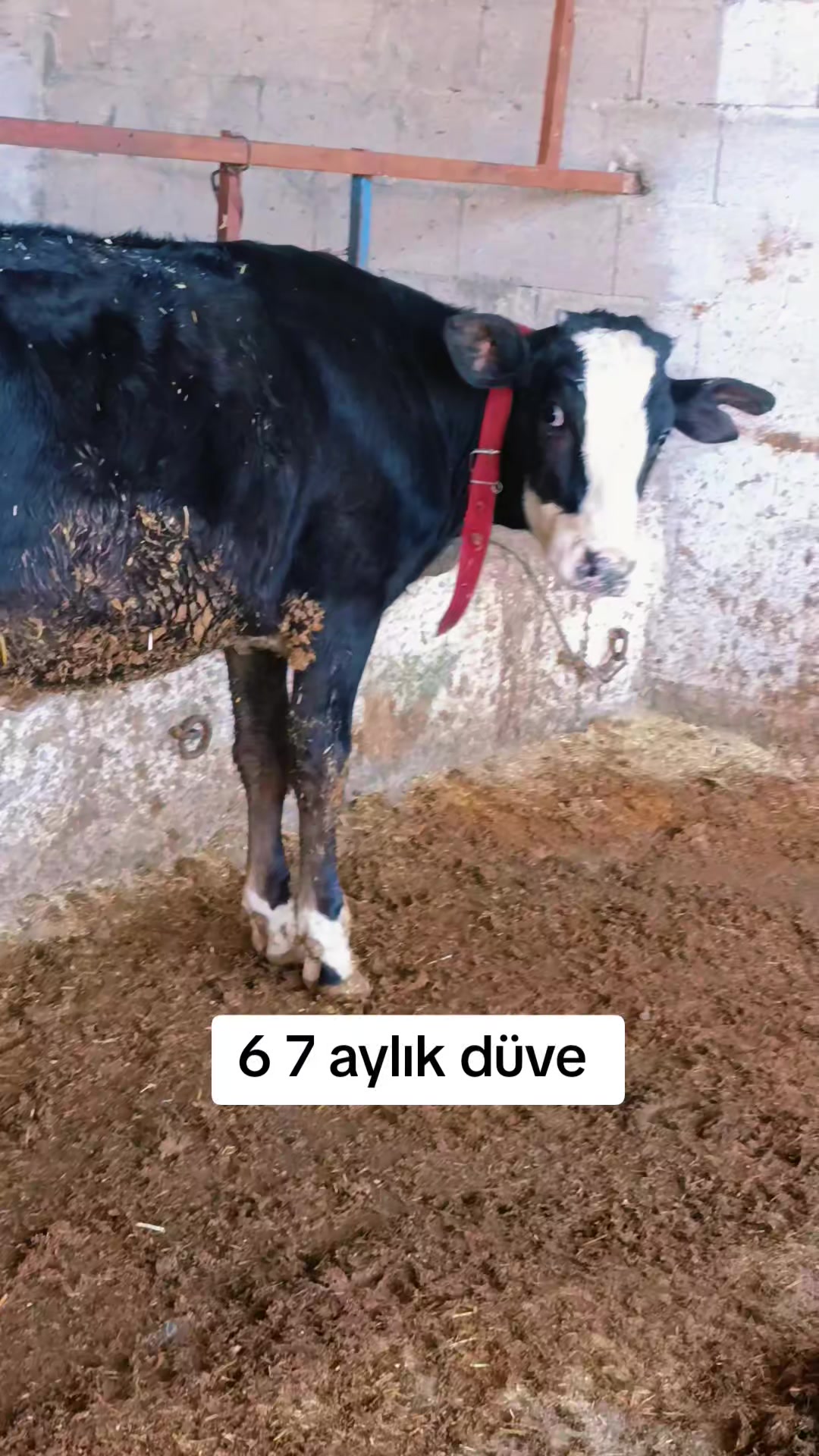 @Ömer 51