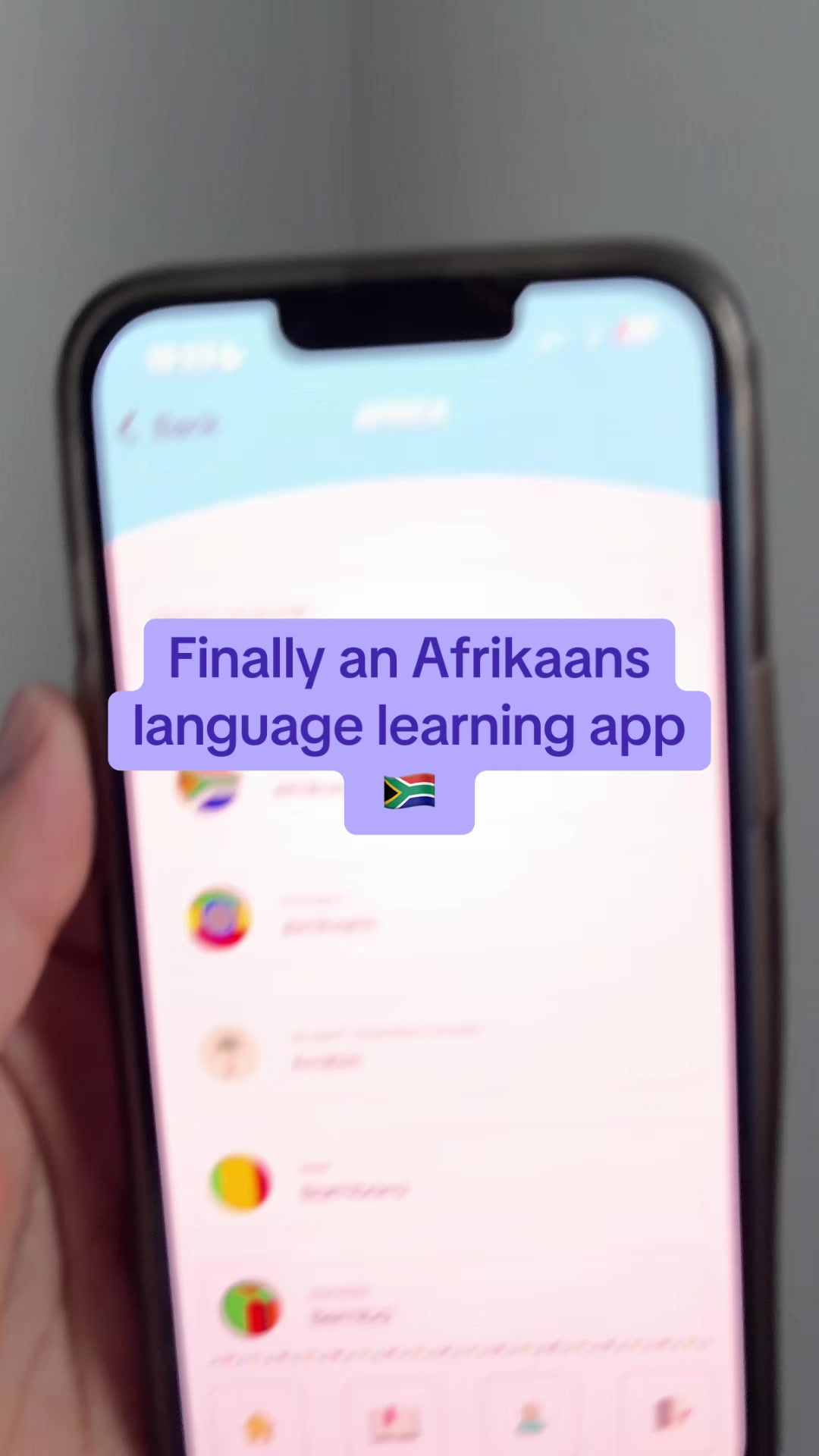 @languagelearner