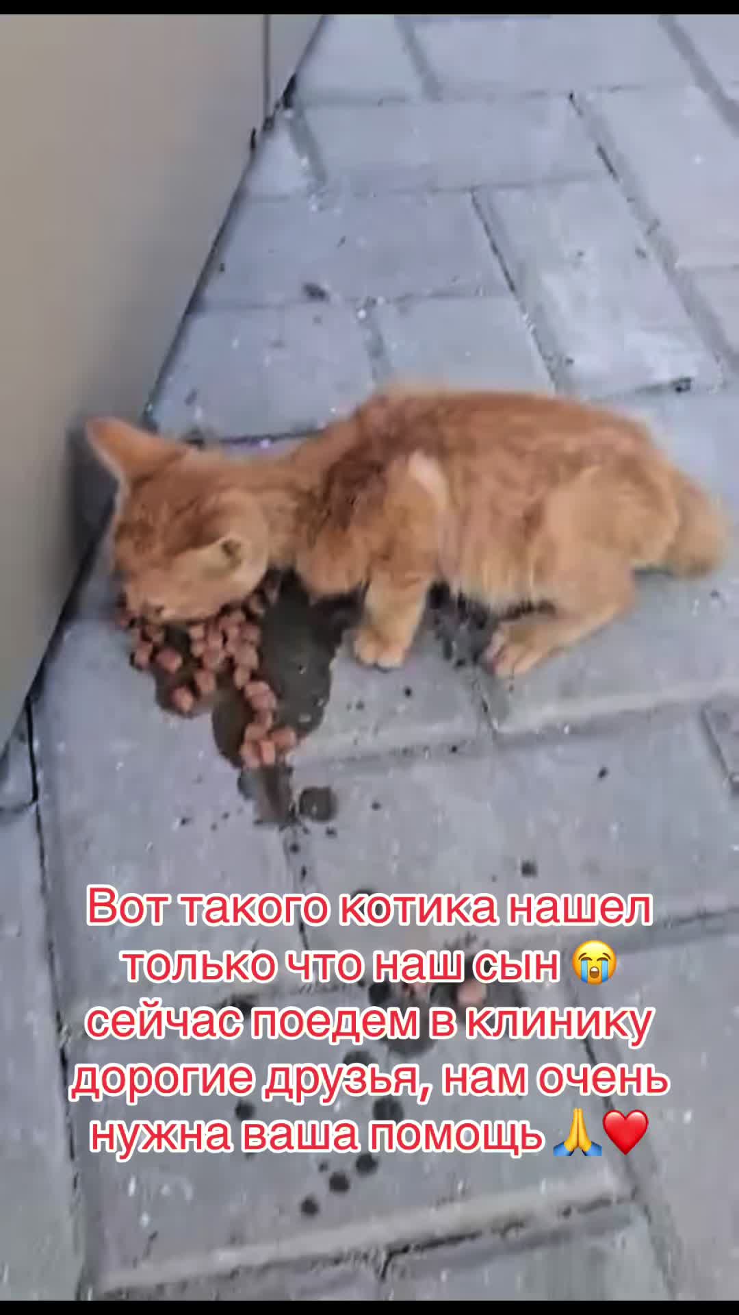 @Лёвка и компания.