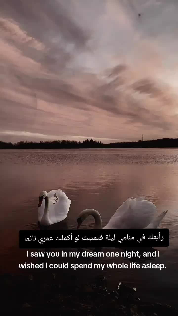 @نِـجِمَـةة☆