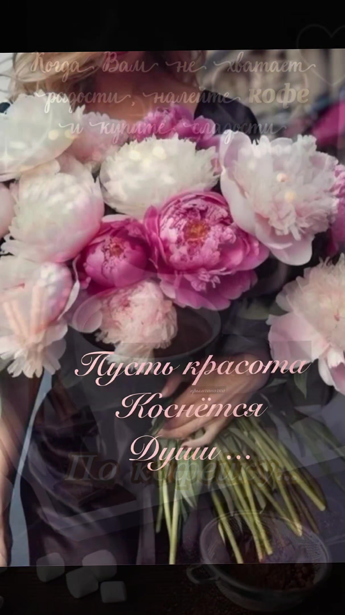 @🇧🇾 Елена 💞💞💞