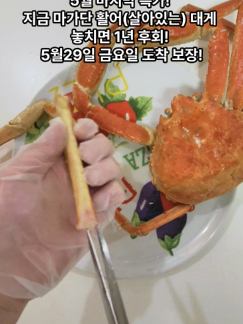 @킹크랩 대게 동해수산유통