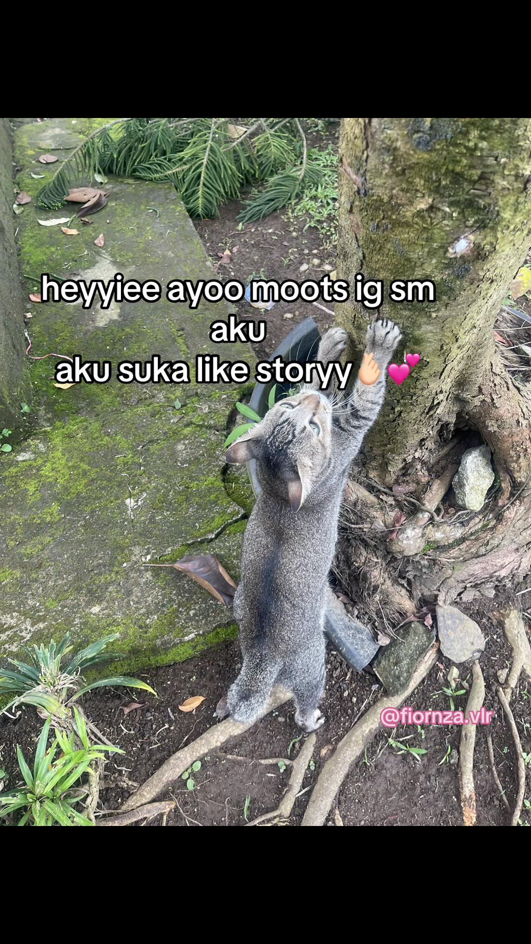 @lun.