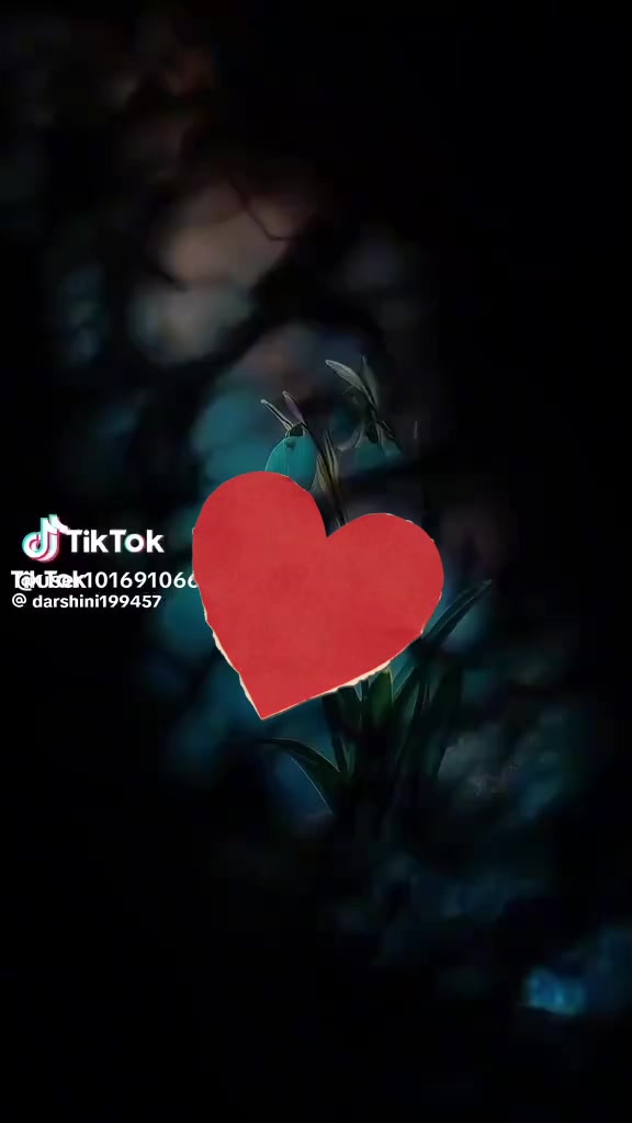@vidhu
