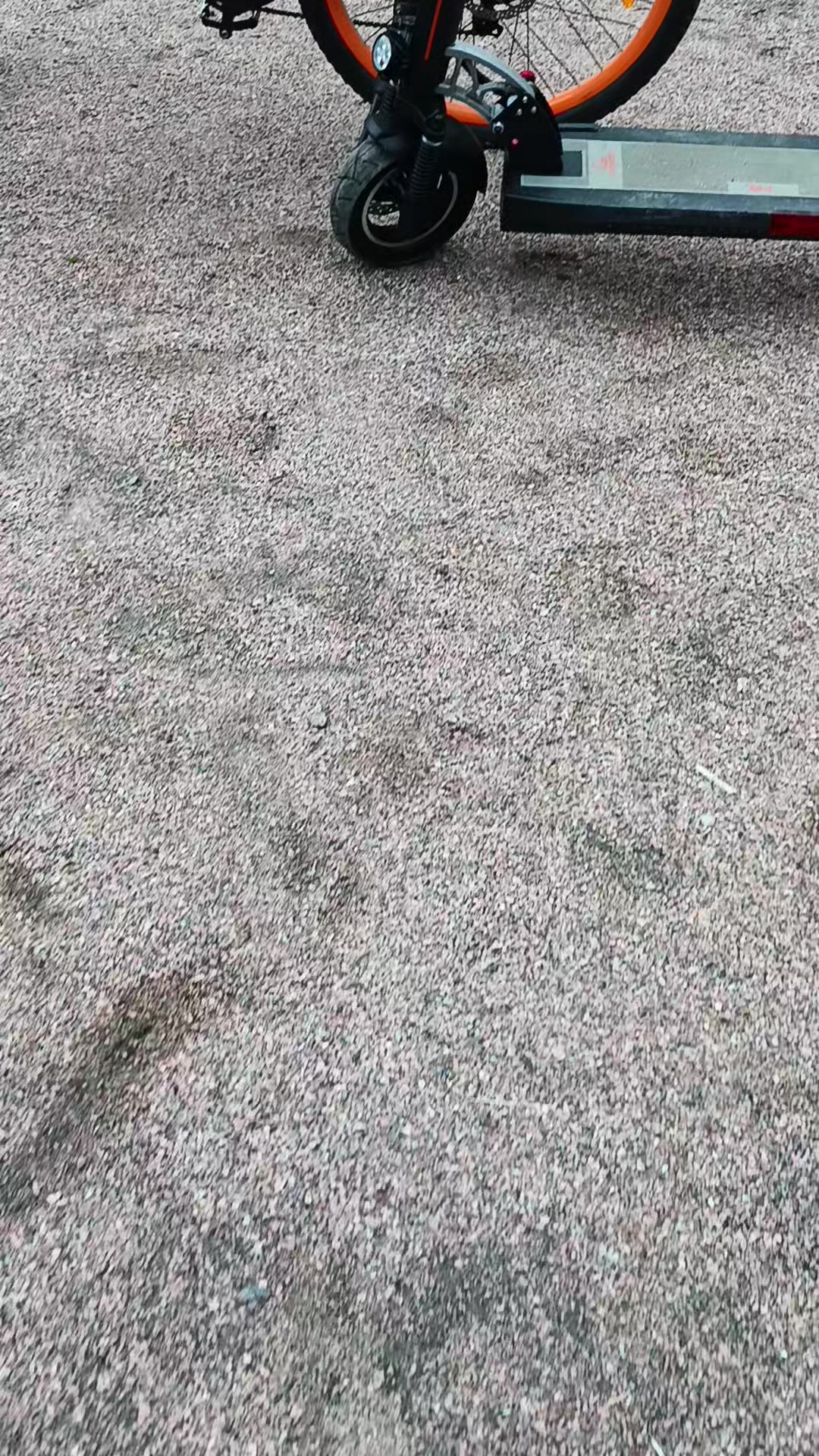@Rider на куго