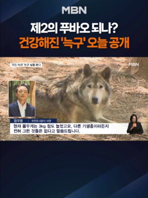 @MBN NEWS
