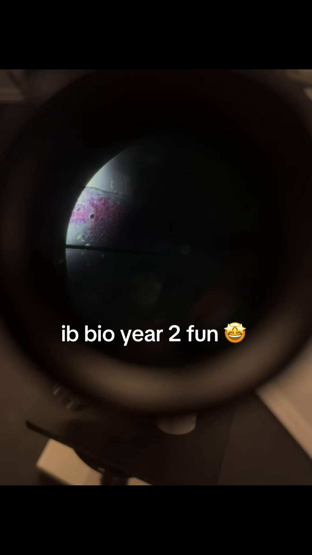 @maria