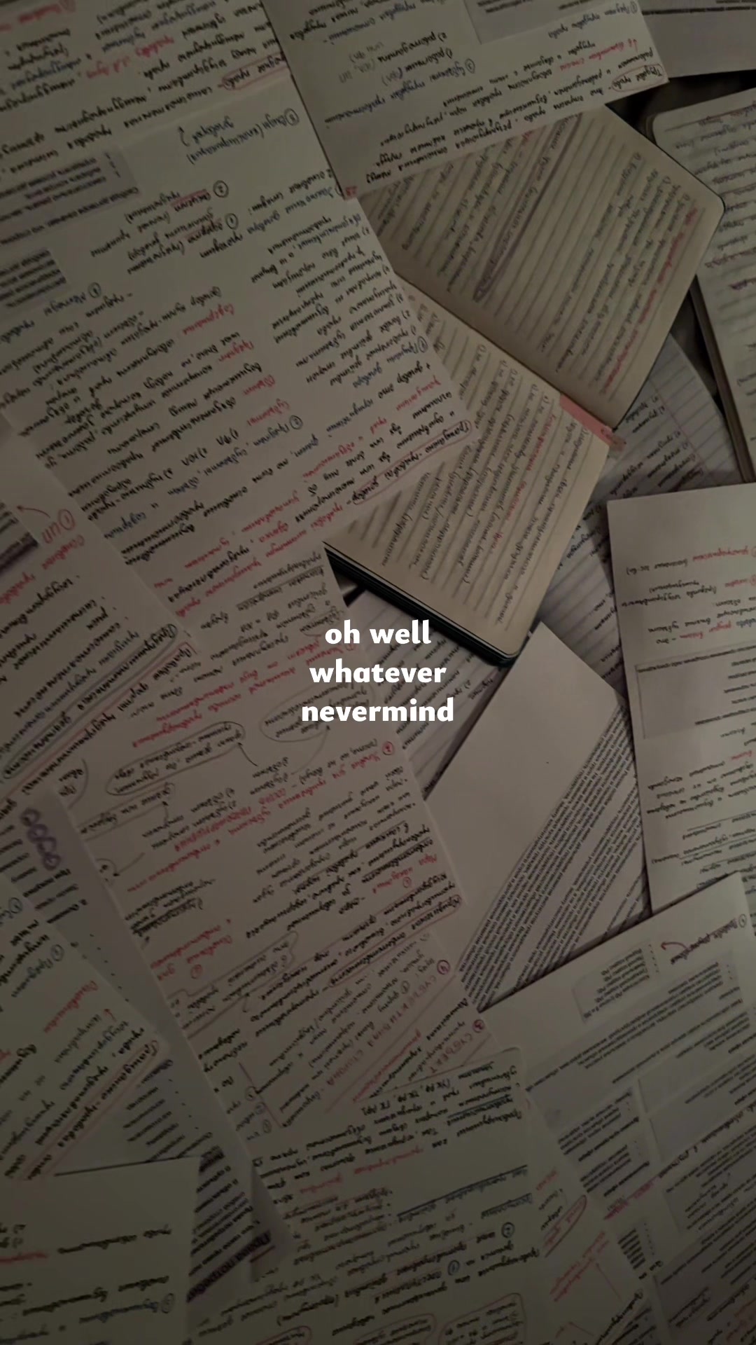 @dasha | study vlogs📚