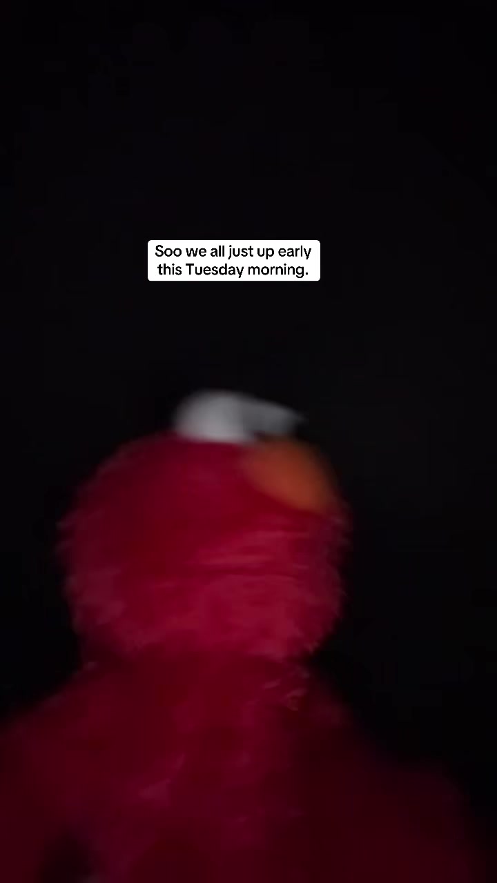 @elmo_mexican🕯️