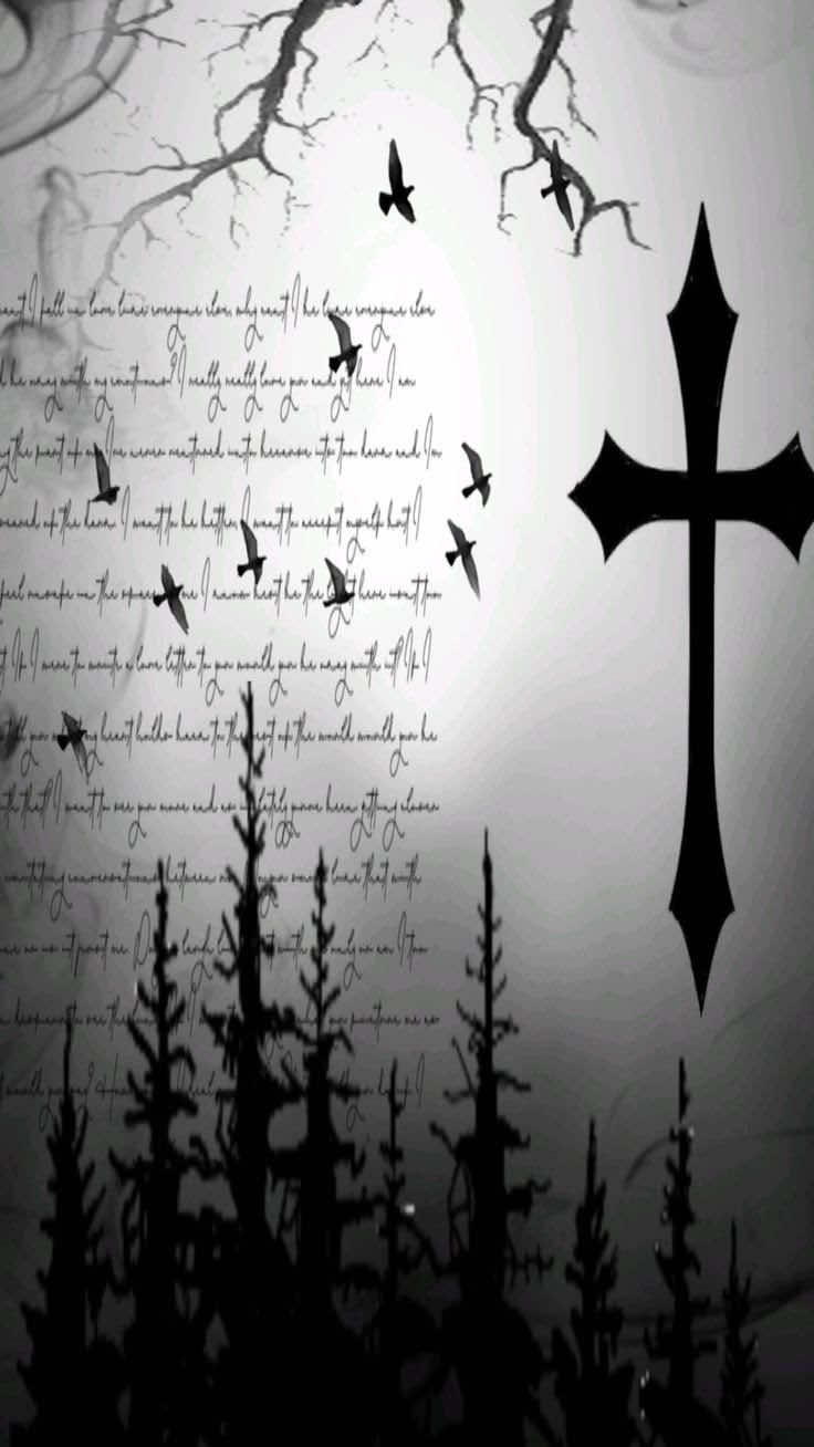 @𖤐ꫀᦔ᭙꠸ꪀ𖤐