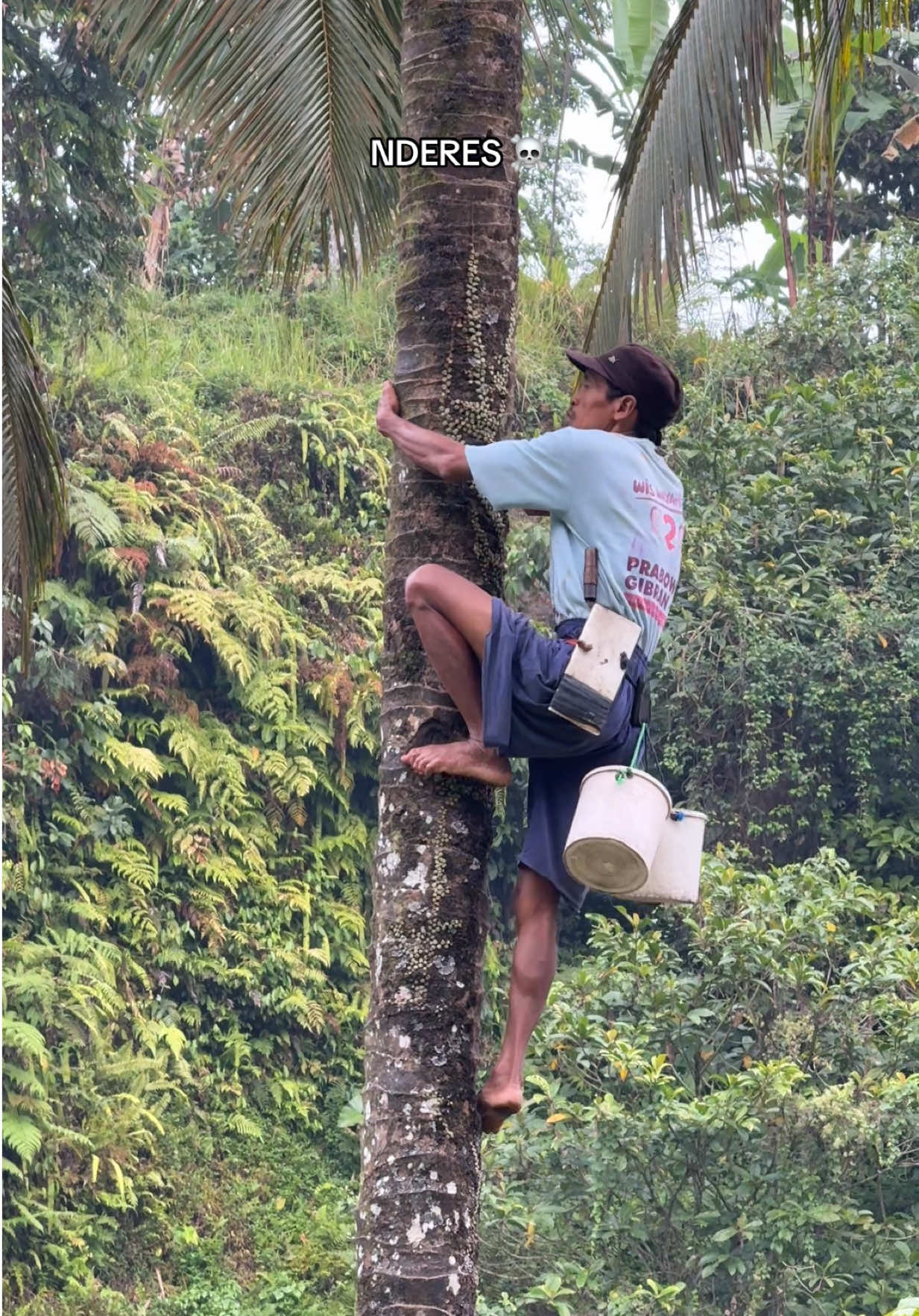 @Purbalingga