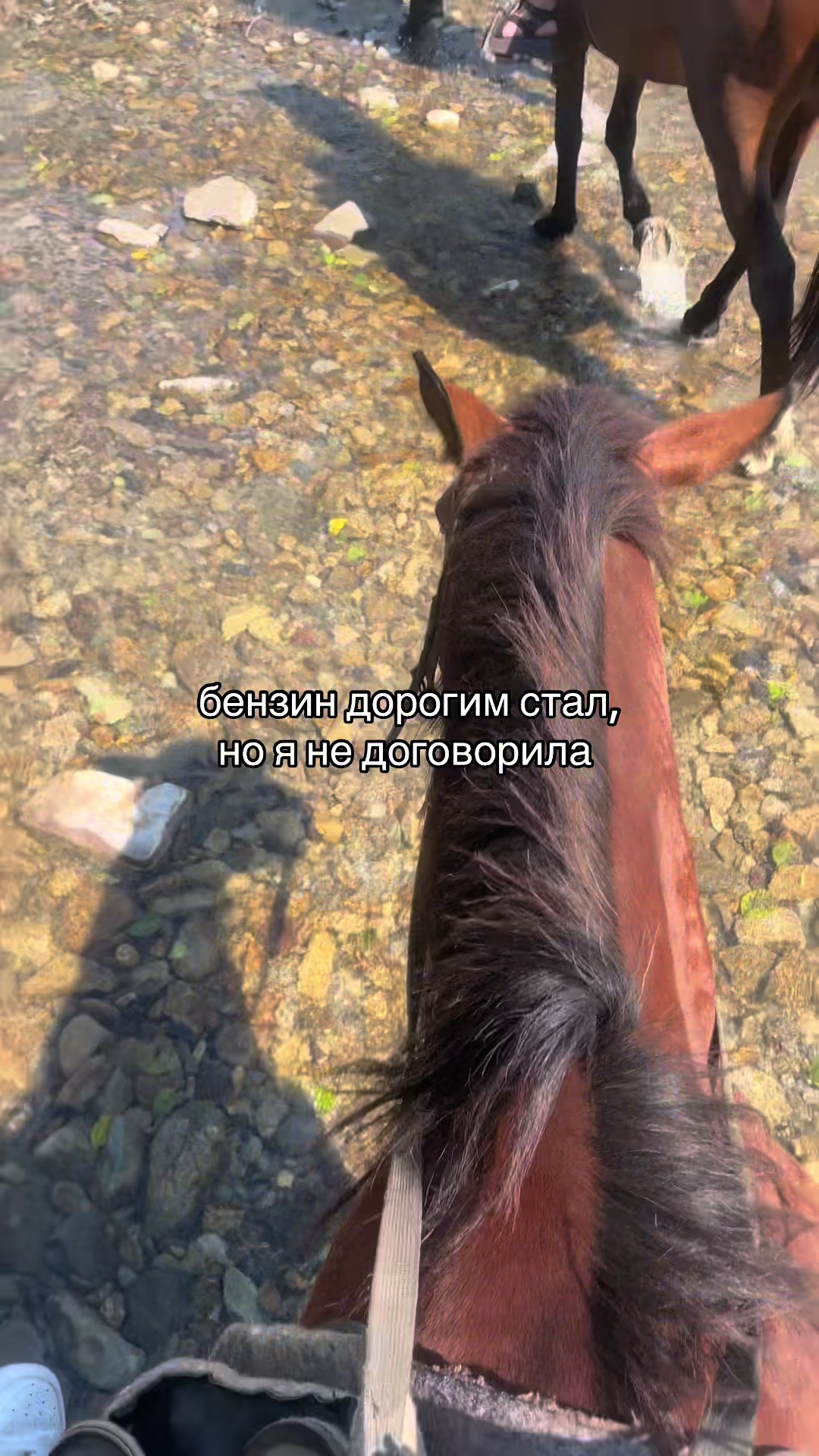 @𝑫𝑳𝟕