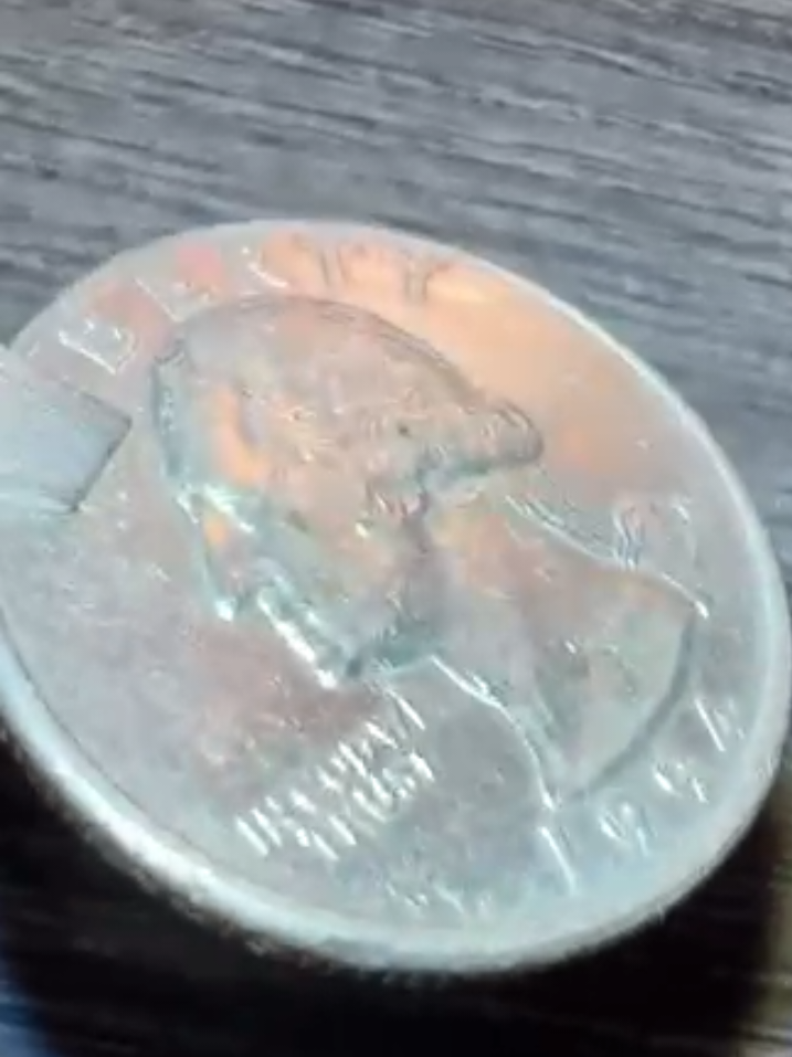 @Coin Collector 🪙
