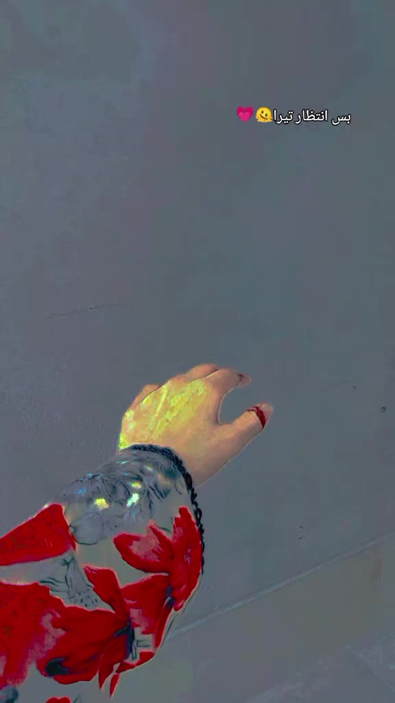 @(｡✿Z&Iuml;dd&Iuml;‿CHŌKRH&Iuml;✿｡)