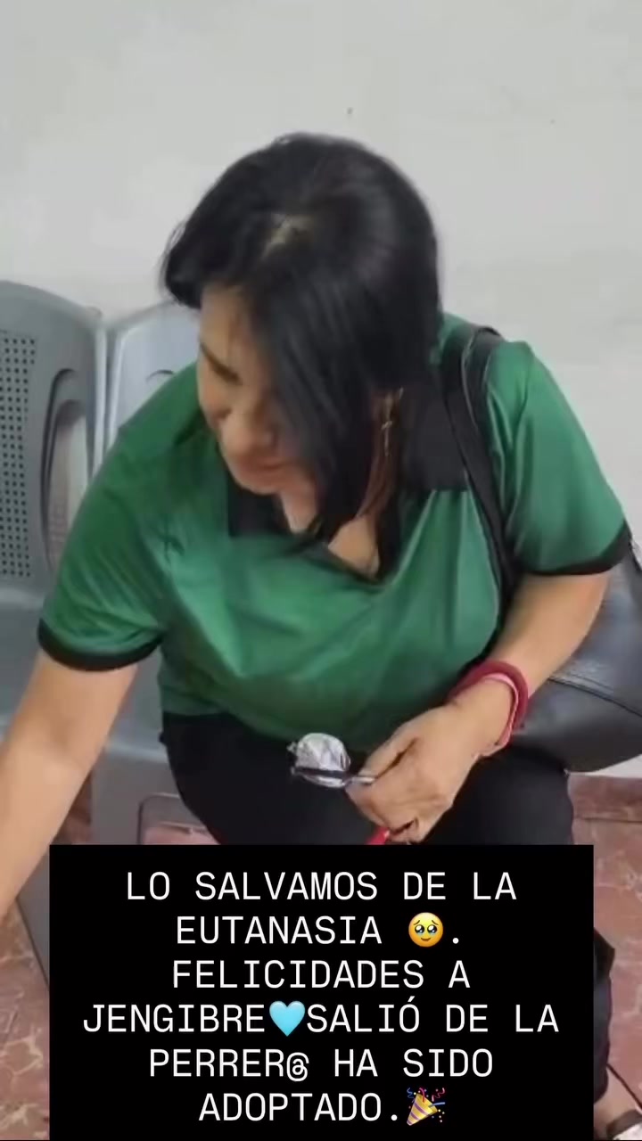 @AdoptaunAngel