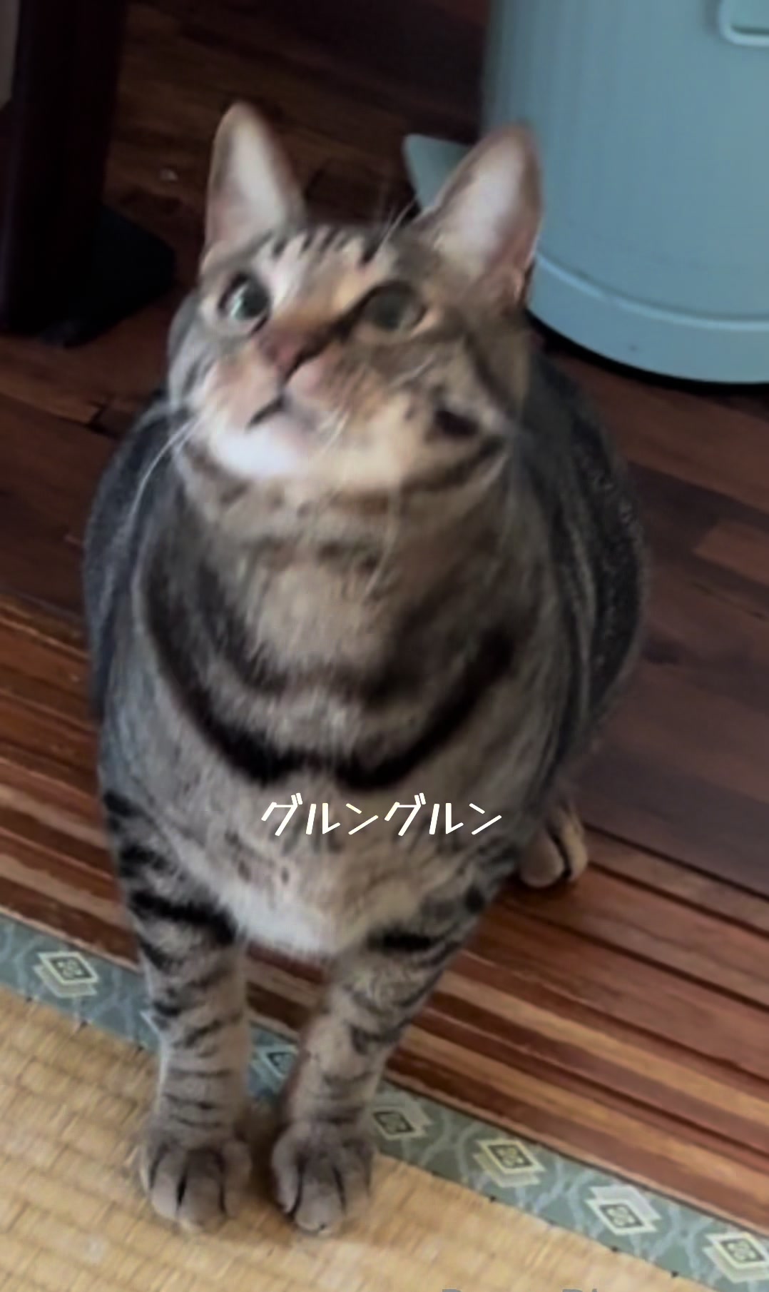 @シチサン