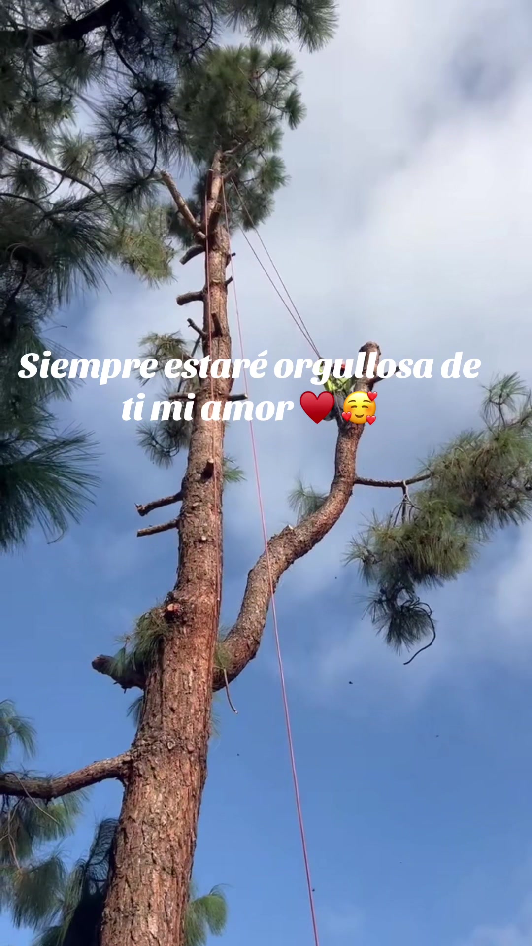 @Rocio Rico