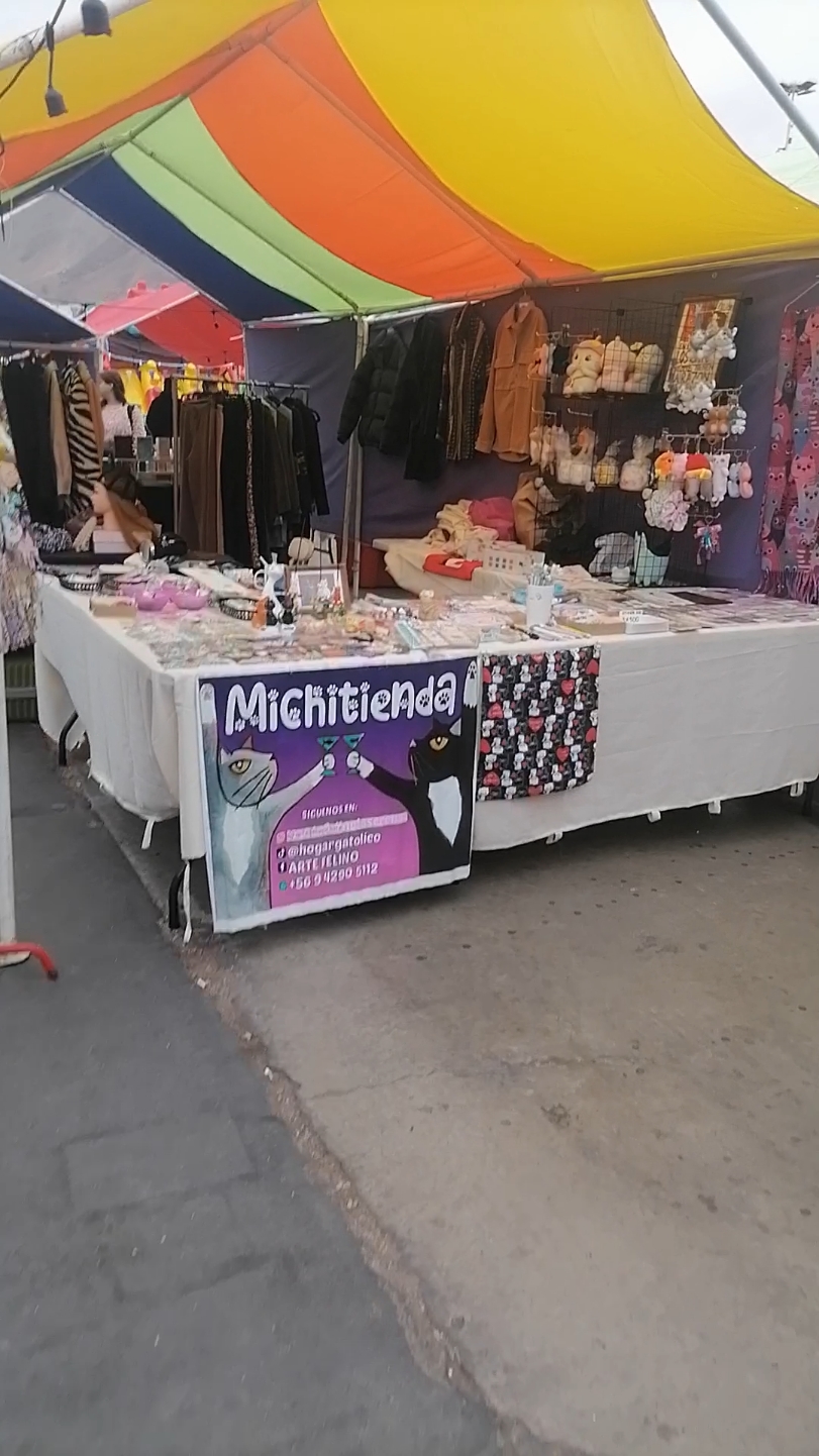 @michitiendachile