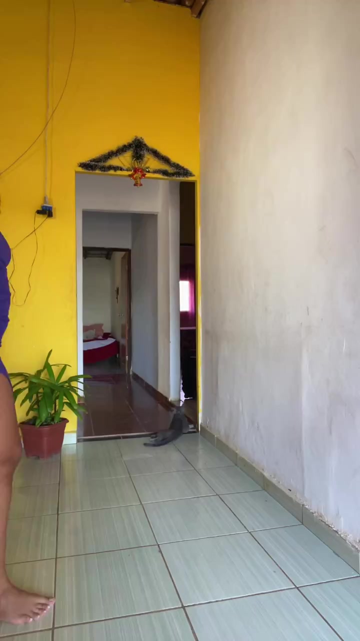 @Fabio
