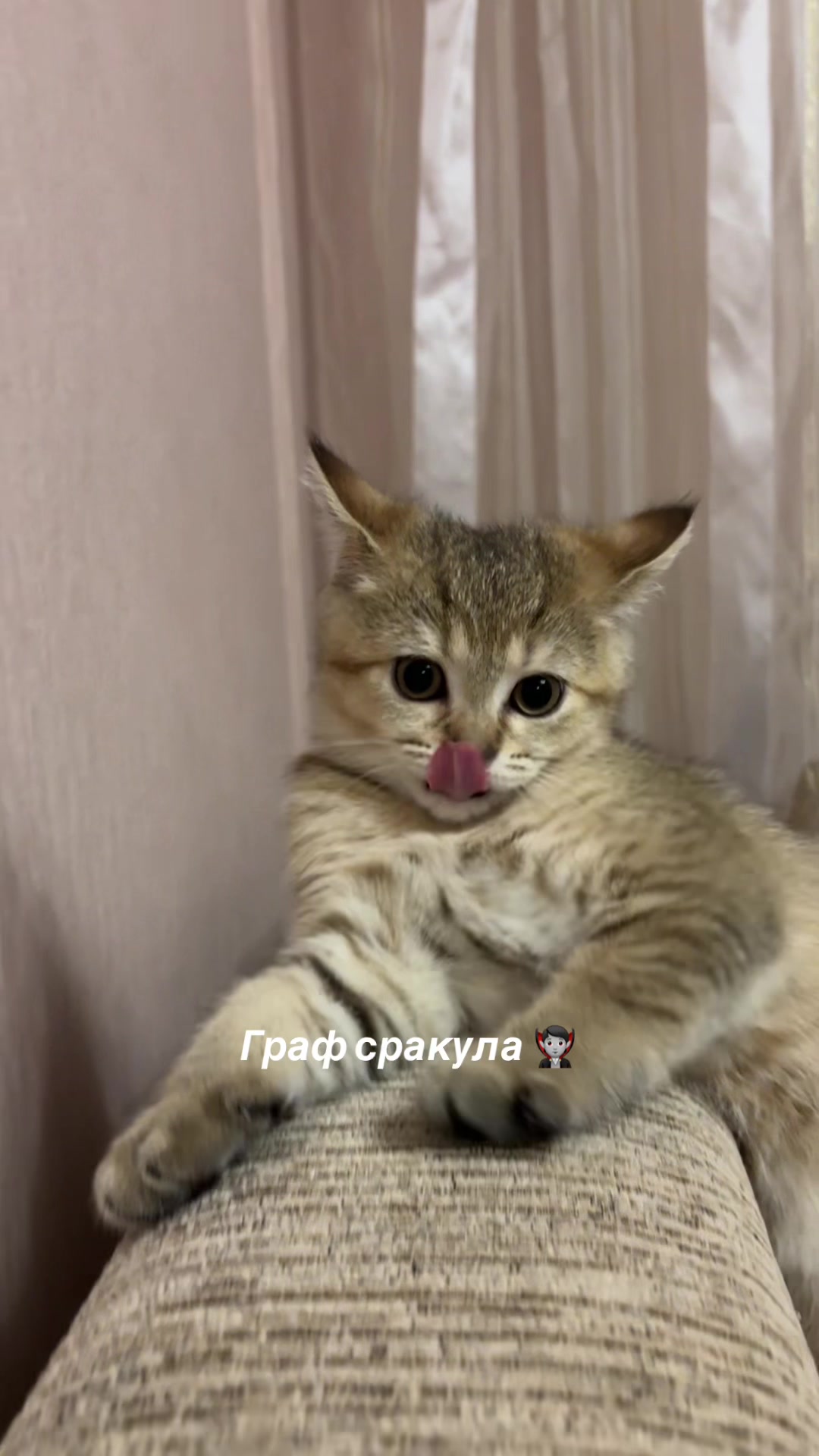 @𝙋𝙤𝙡𝙮𝙖.💕