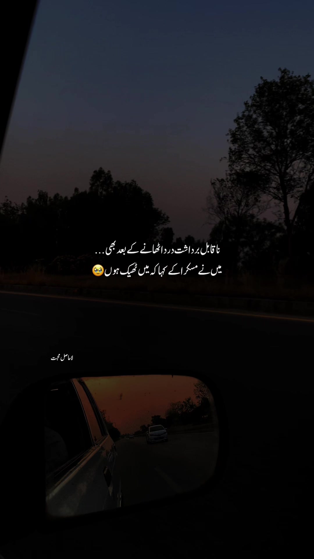 @لا حاصل محبت💔