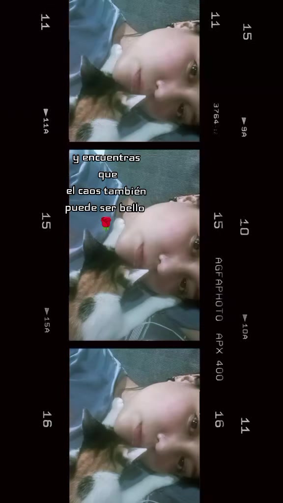 @๐โจ๐ท๐๐๐๐๐๐ โจ๐