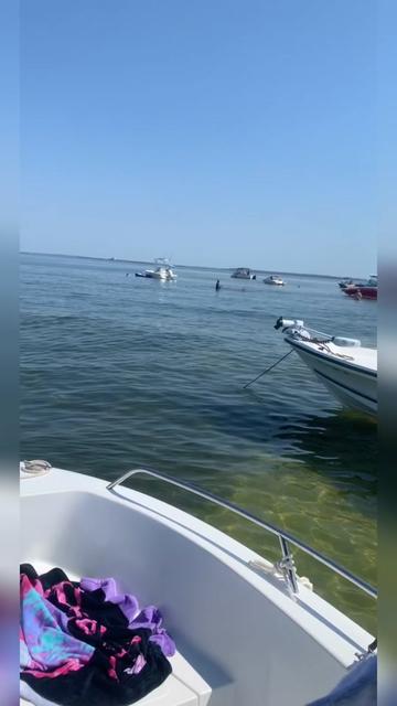 @🐟 RedFishRod 🐠