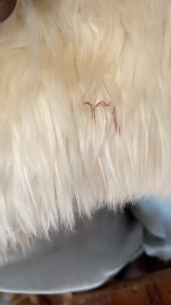 @nalibyjoan2
