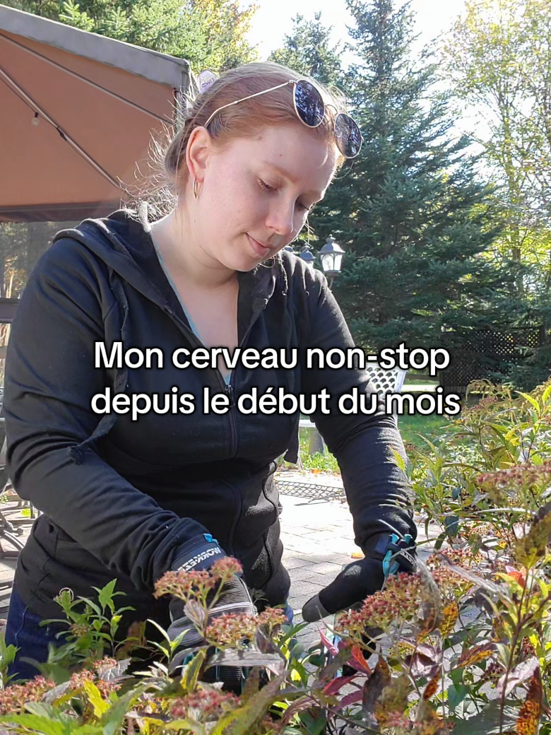 @&Eacute;lo&iuml;se M.M.