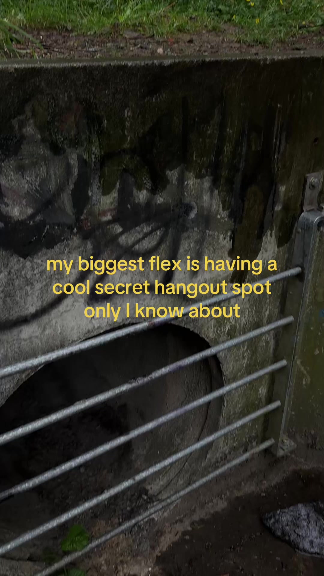 @koi