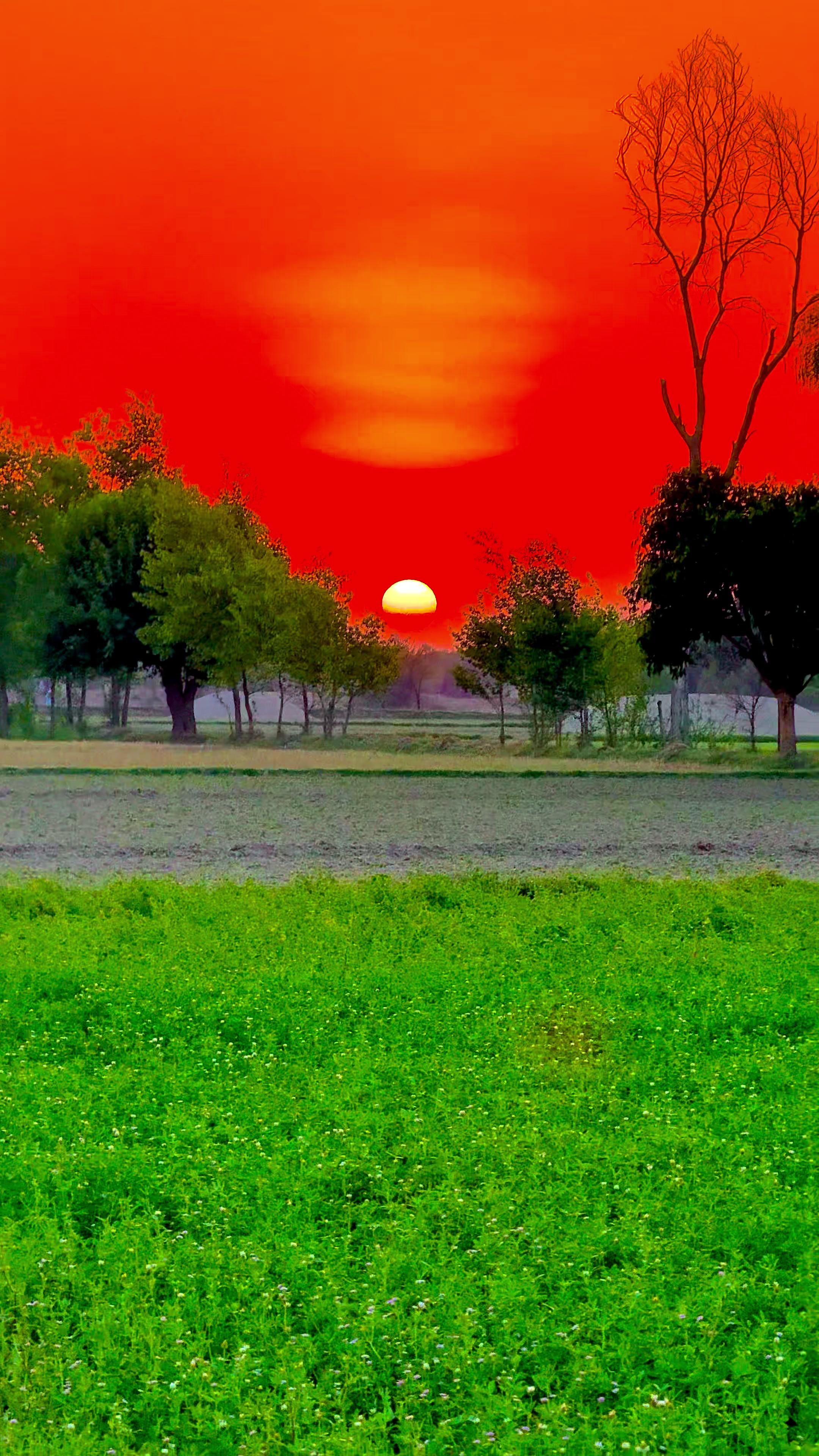 @🌾میں۔ میرا۔ پنڈ🎋