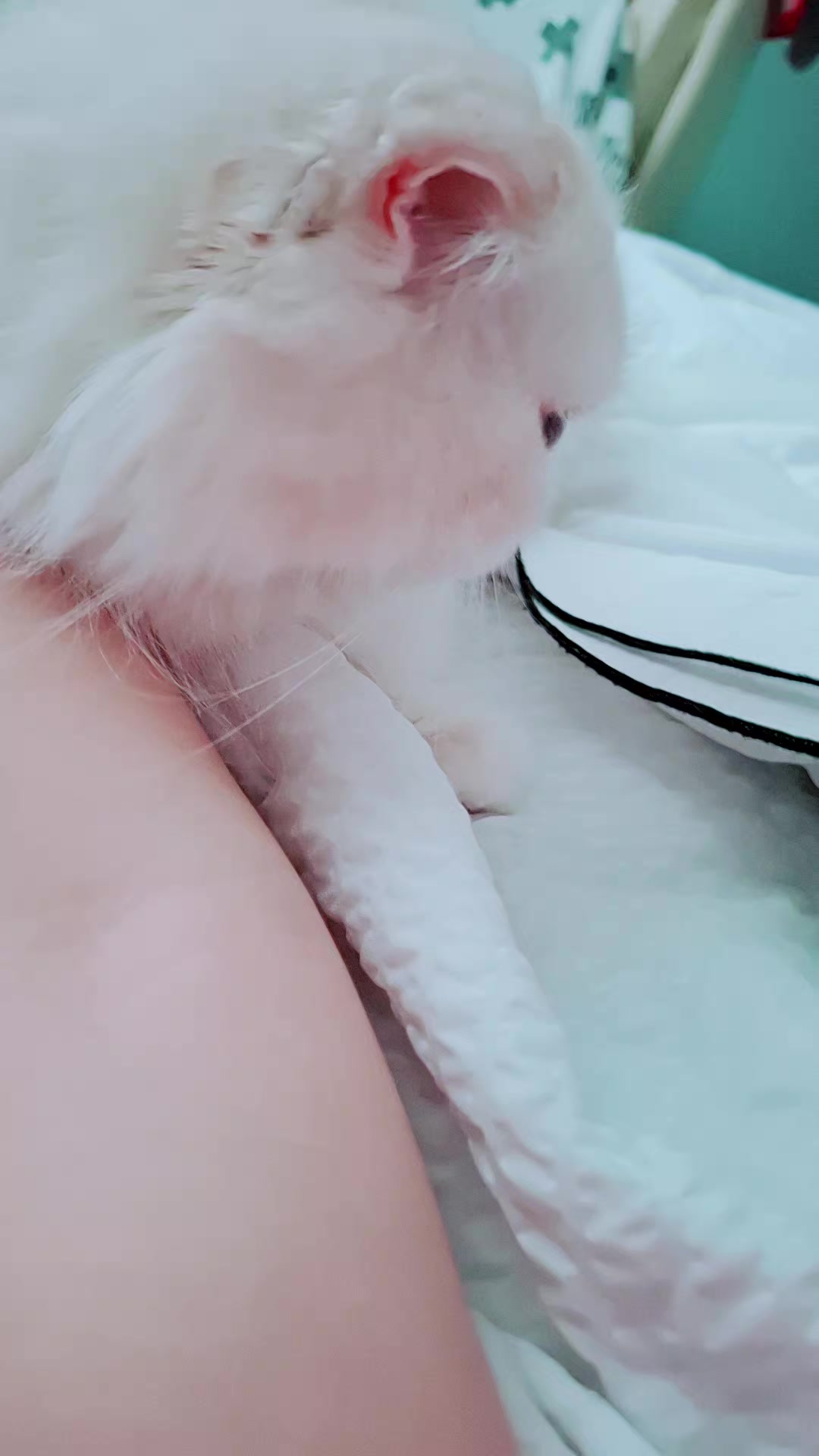 @👑마린블루J