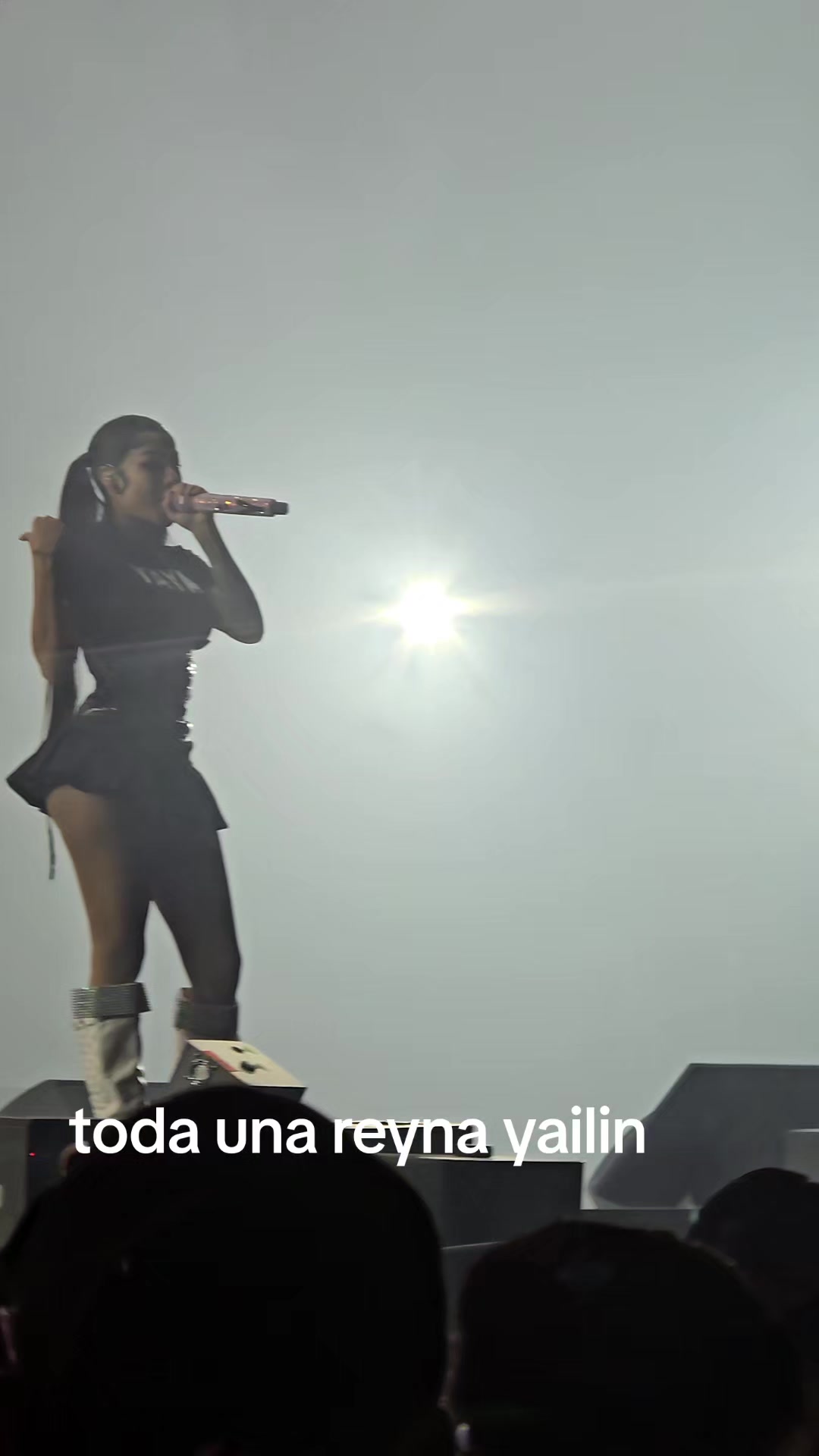 @little black angel