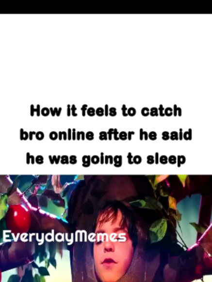 @EverydayMemes