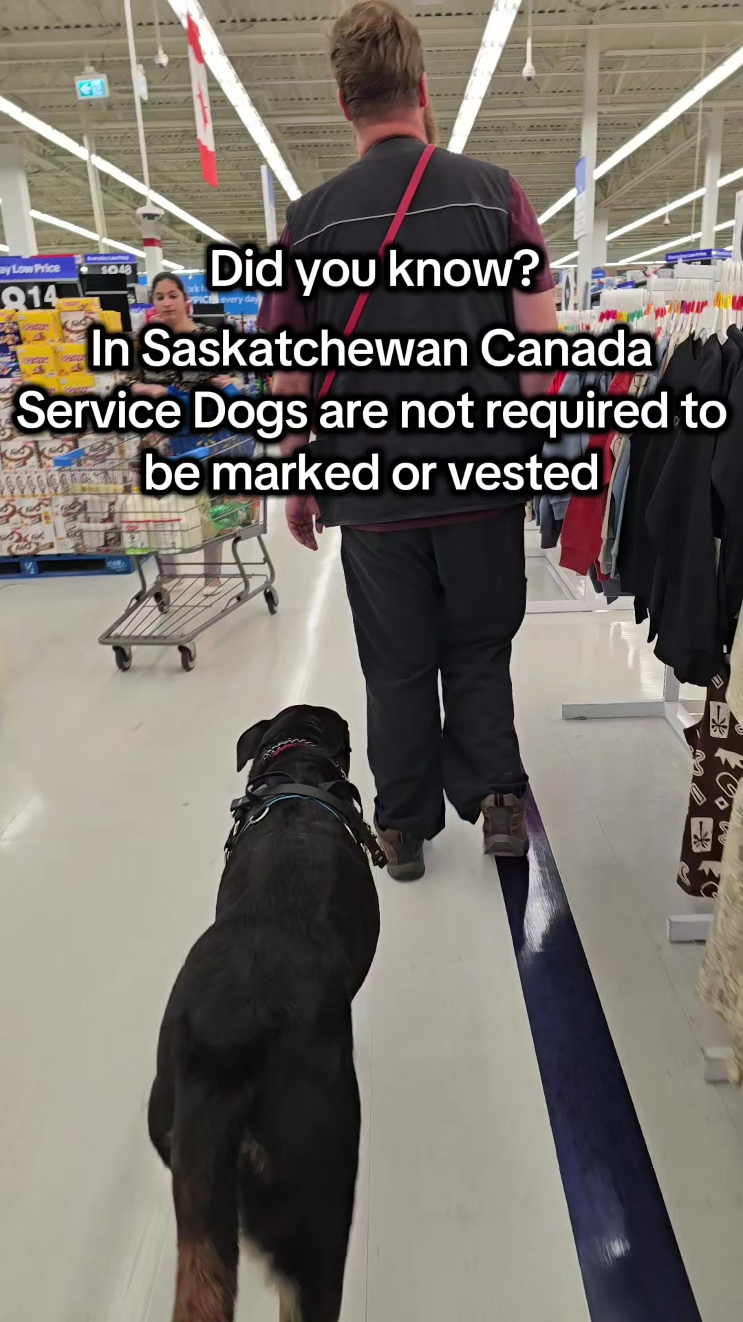 @Kairo's K9s Training 🇨🇦