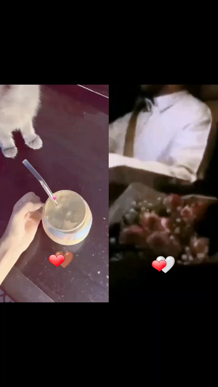 @🫀👑ٱدلبـ᭓ـية آڪـ᭓ـابࢪ 👑🫀