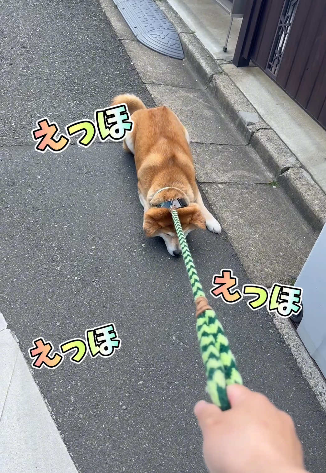 @てんくう