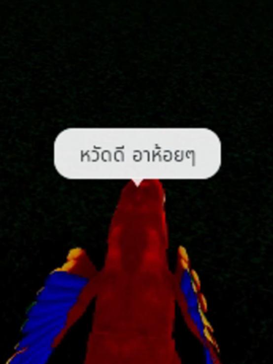 @KaiToon