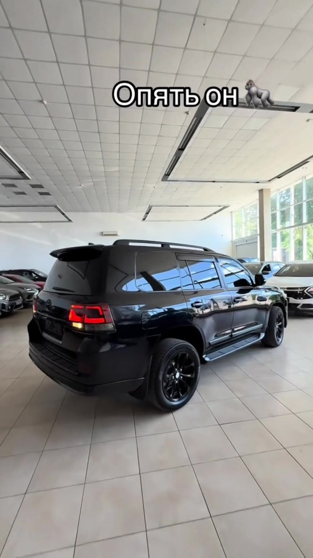 @MagnatAuto