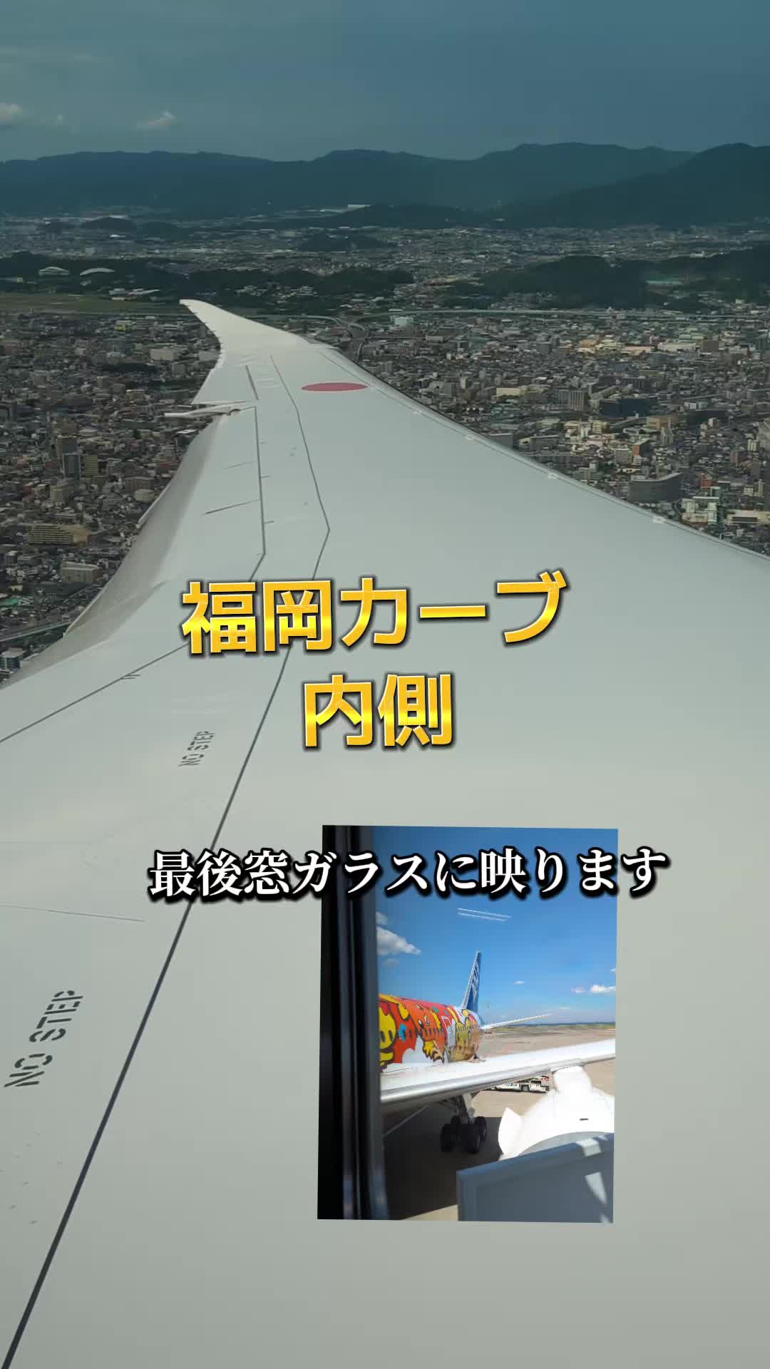 @そらねこ🐱sky cat