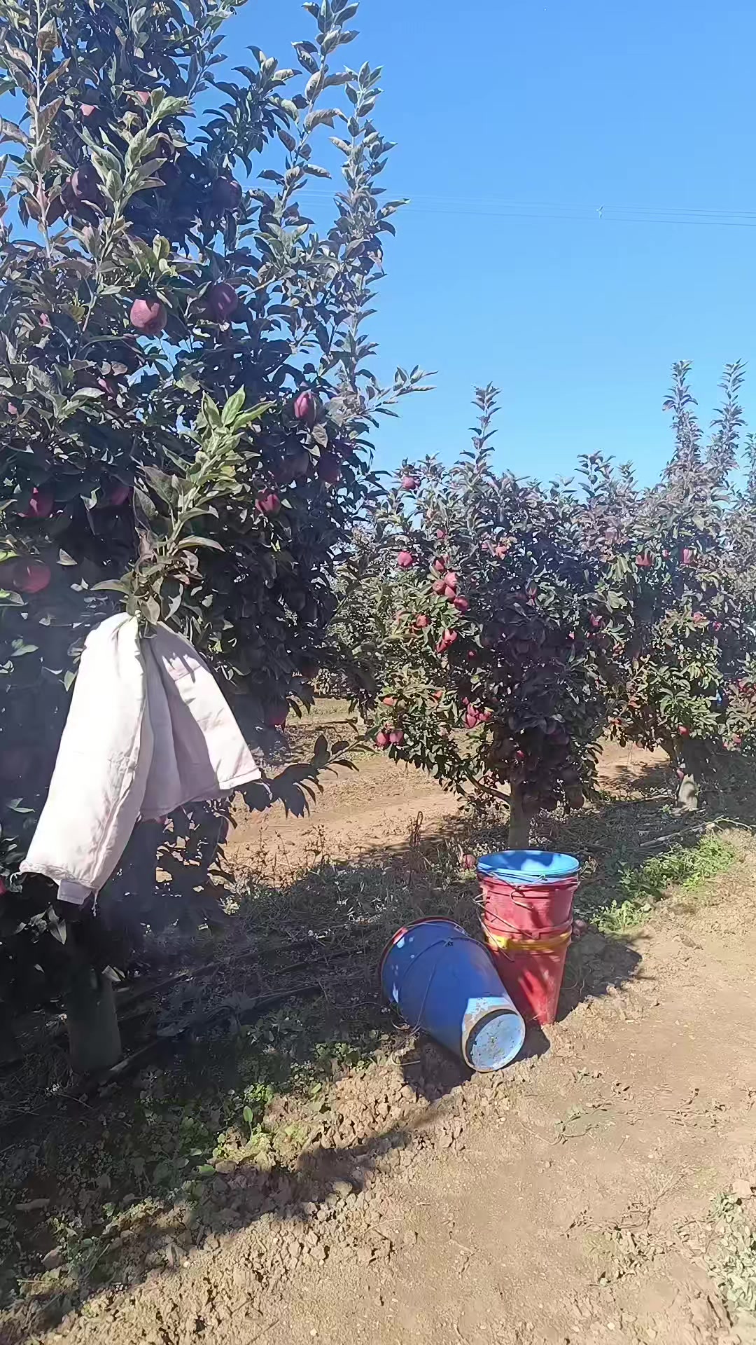 @yarım kalan 🌙 ışığı