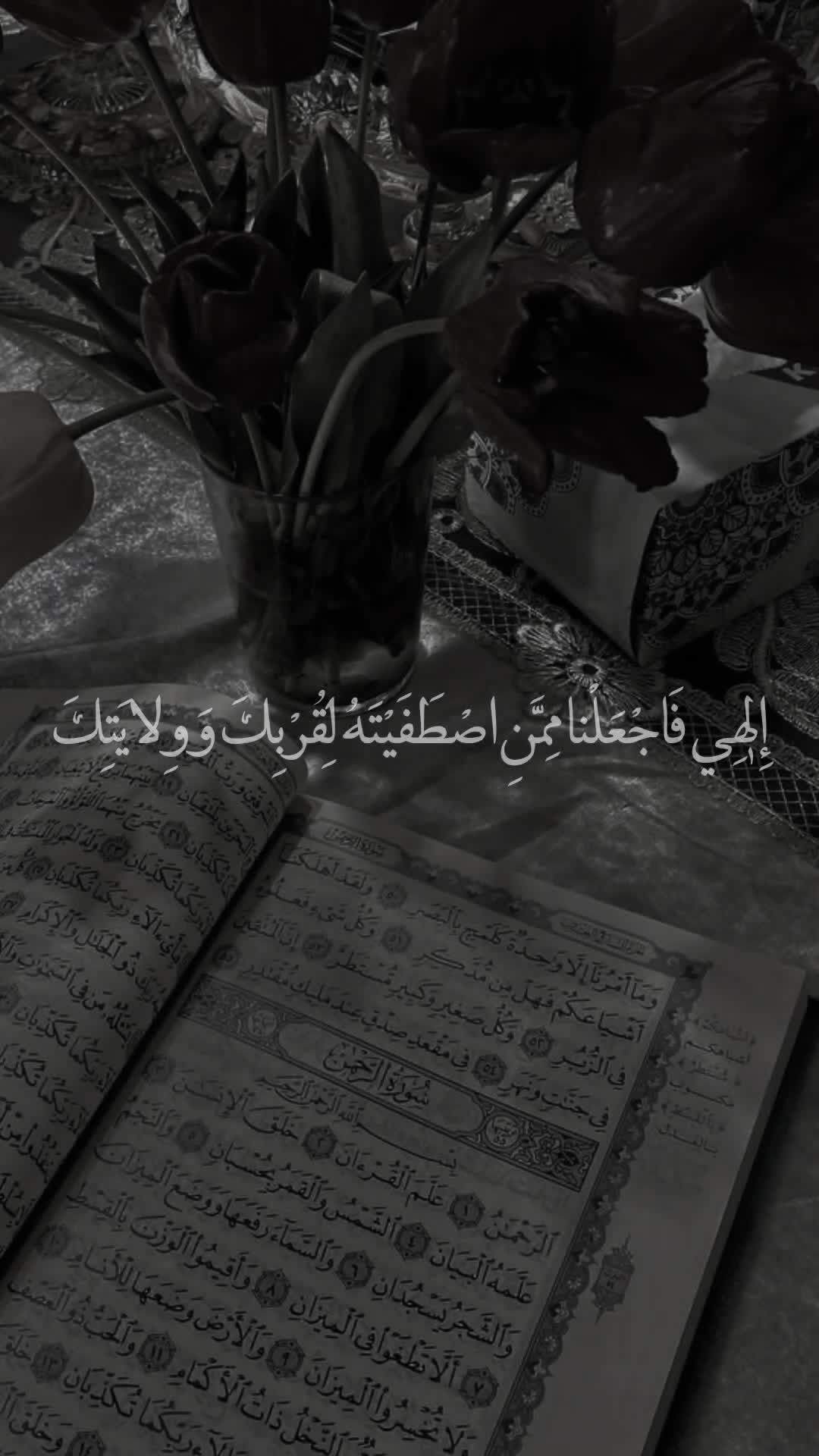@قائد الغُرِّ المُحَجَّلين