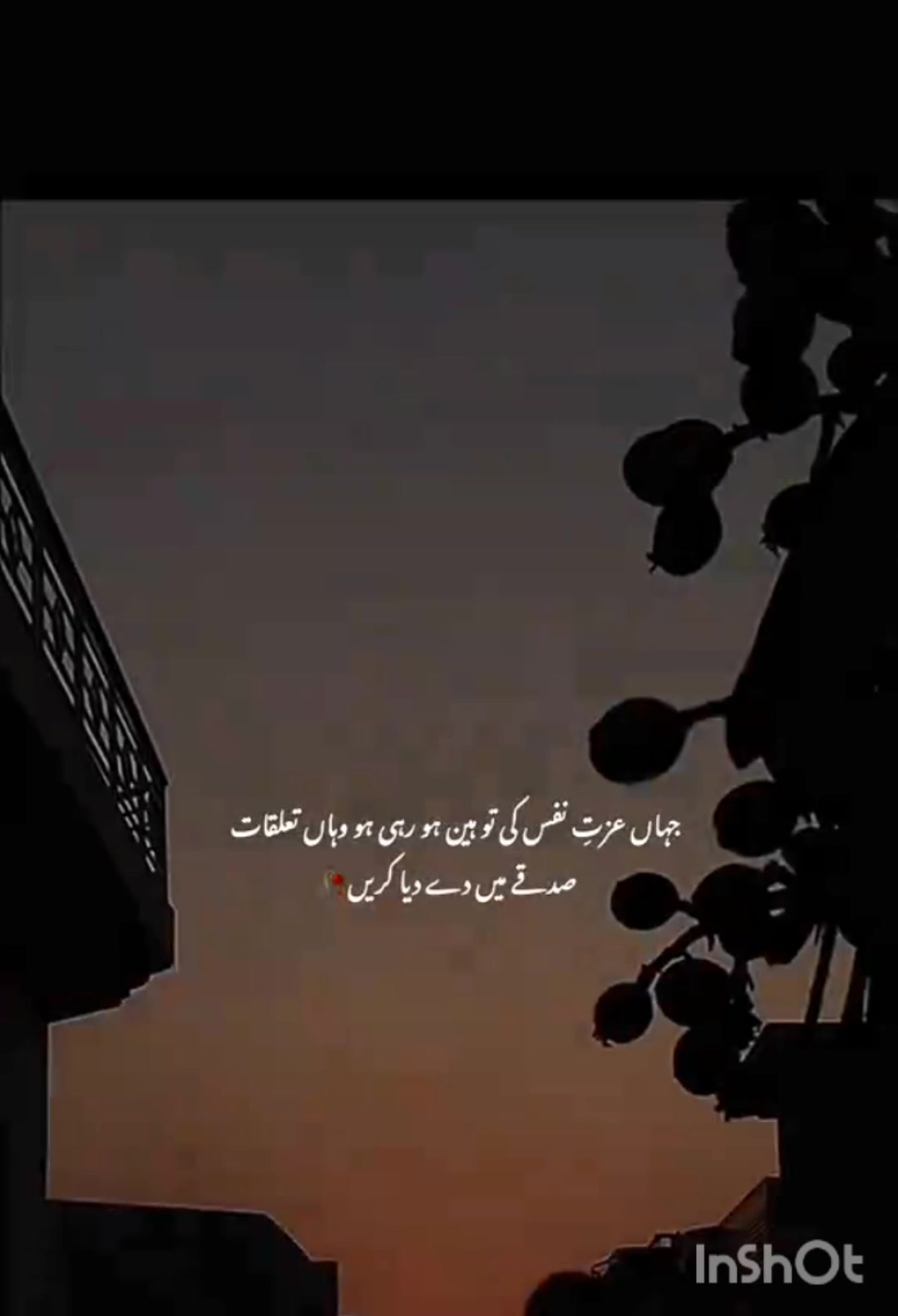 @ALi RaZa