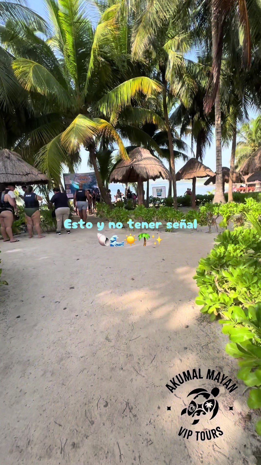 @akumal mayan vip tours