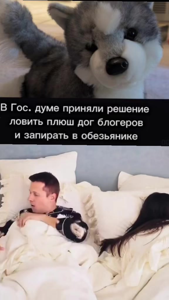 @♯🐾.ᴍᴇʏsʜɪ✧˚