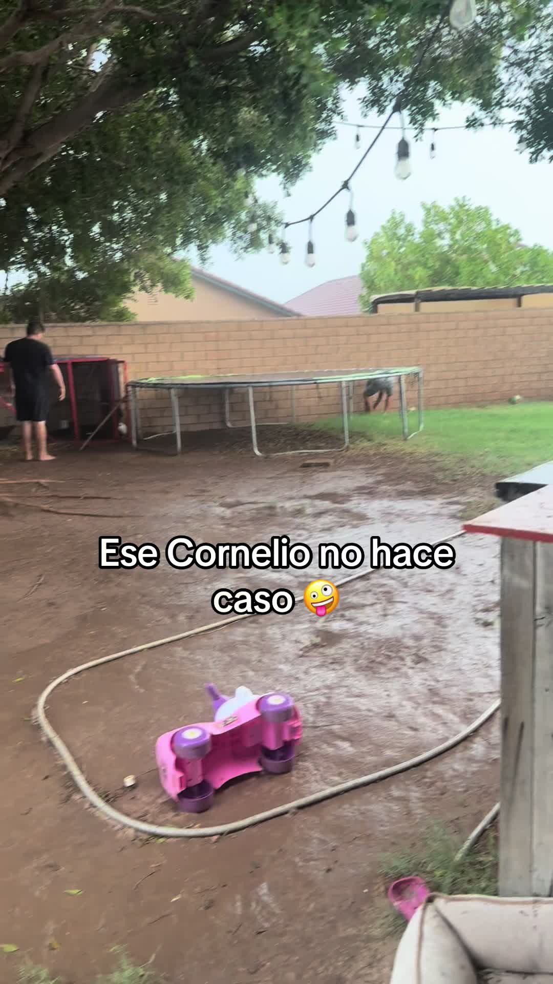 @Mariana alva -Sahm