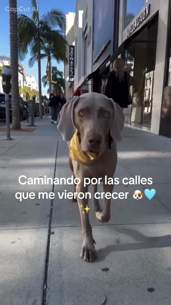 @Adriana L
