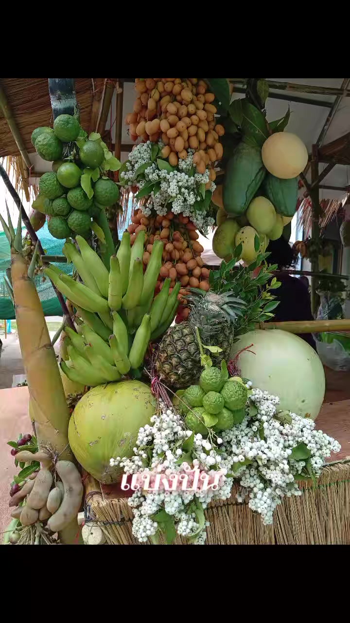 @หัสดี