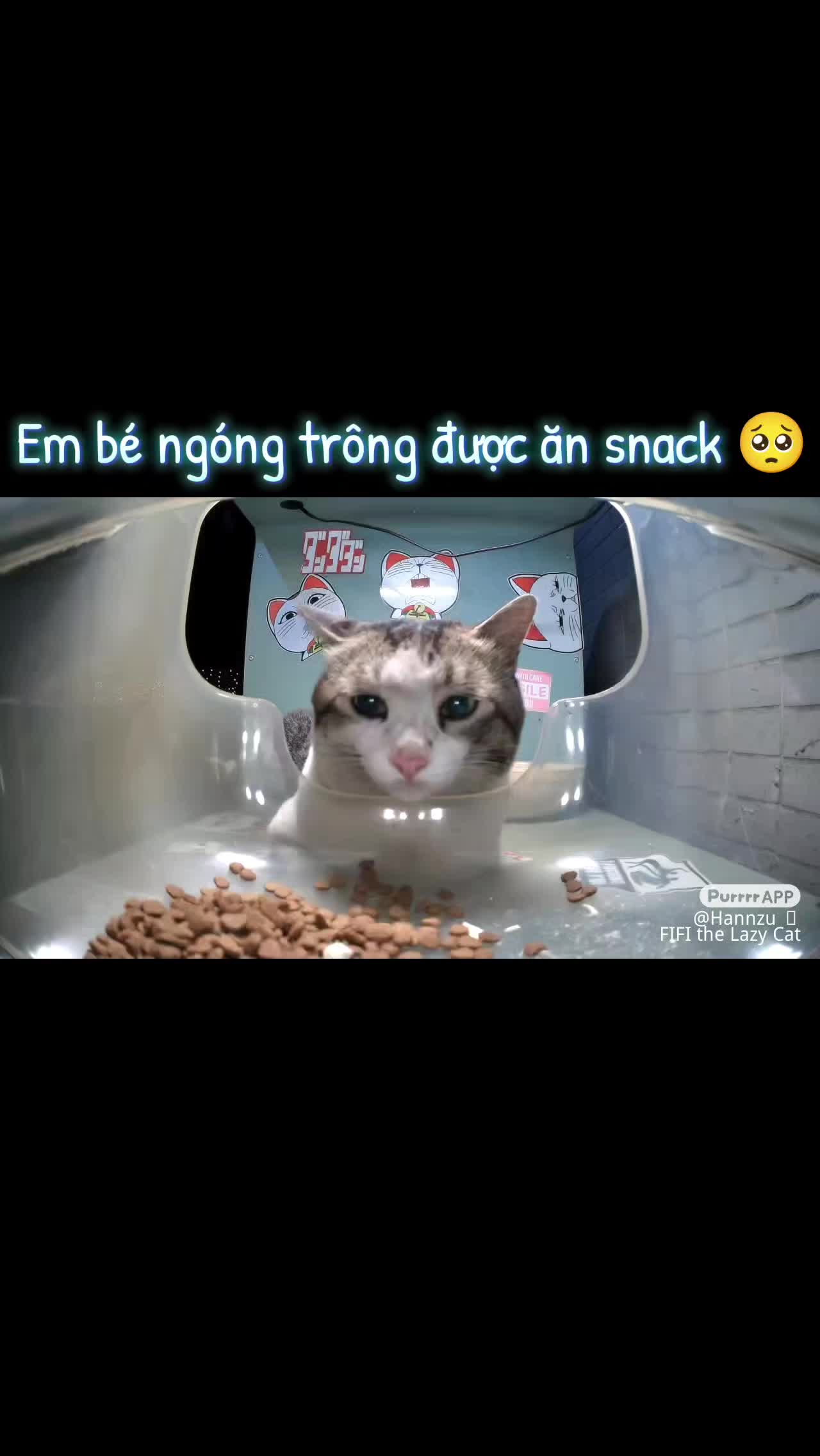 @Meo Meo 😋