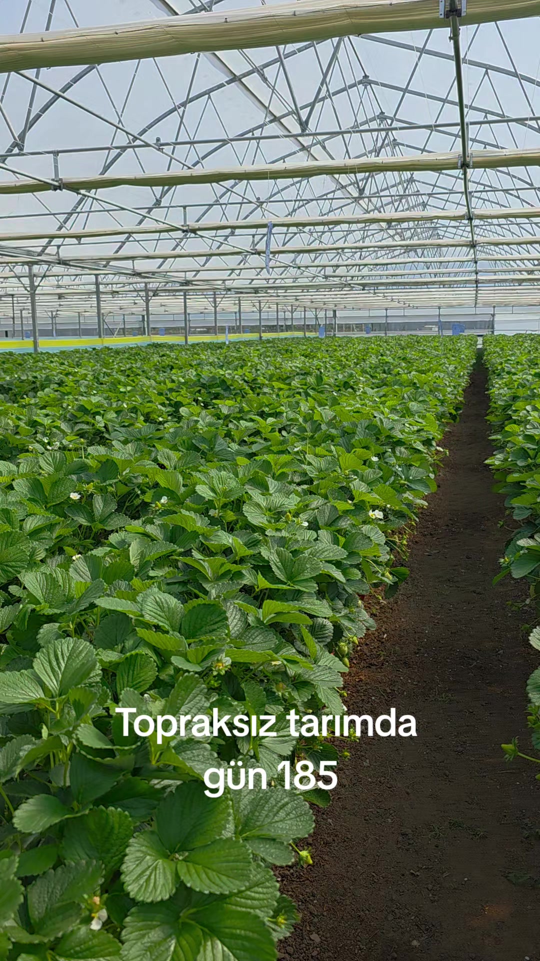 @Kartes Tarım Danışmanlık